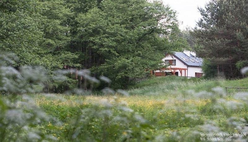 Bobrowa Przystan Villa Czechyn Екстериор снимка