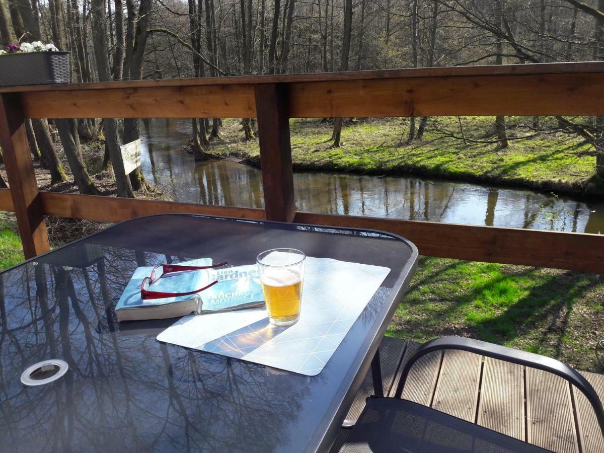 Bobrowa Przystan Villa Czechyn Екстериор снимка