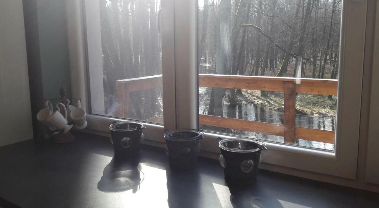 Bobrowa Przystan Villa Czechyn Екстериор снимка